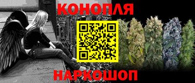 прущие грибы Жуковский
