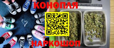 прущие грибы Жуковский