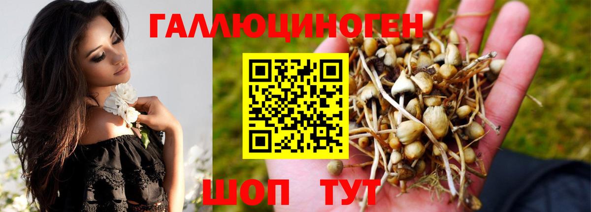 Галлюциногенные грибы Psilocybe Ликино-Дулёво